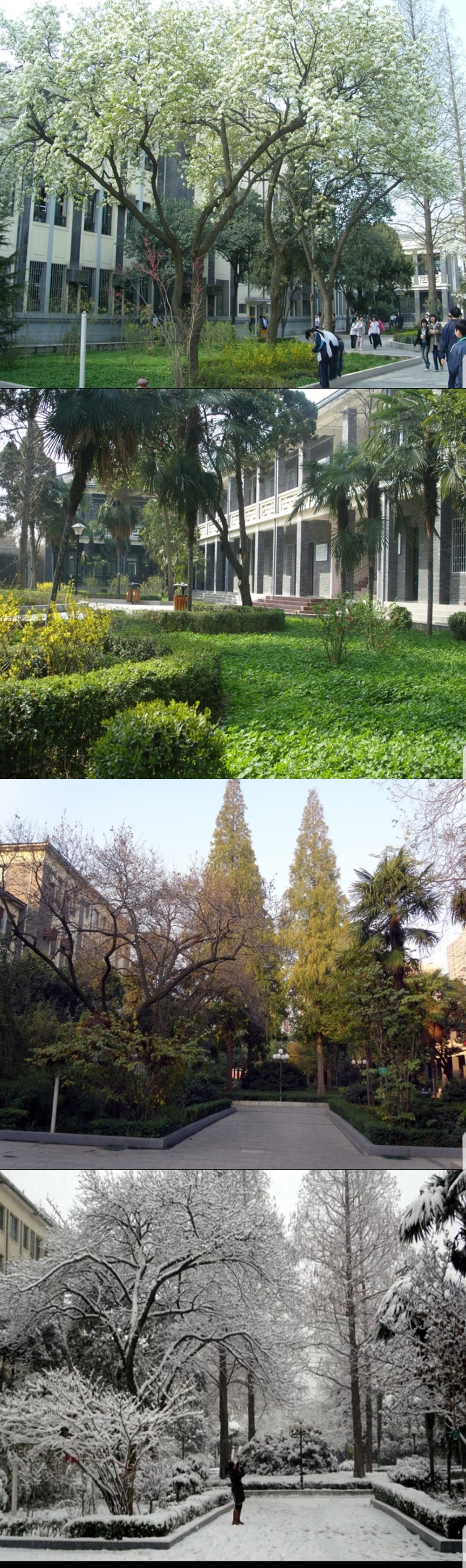 西安市第十中学招生条件,西安市第十中学省示范