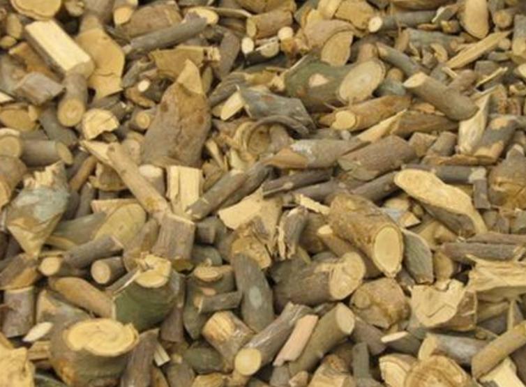 两面针中药的历史记载,中药两面针功效主治