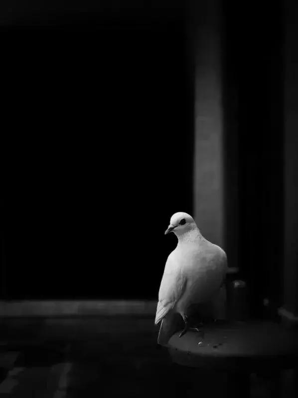 第22届全国摄影大赛征稿,第28届全国摄影艺术展纪实类作品