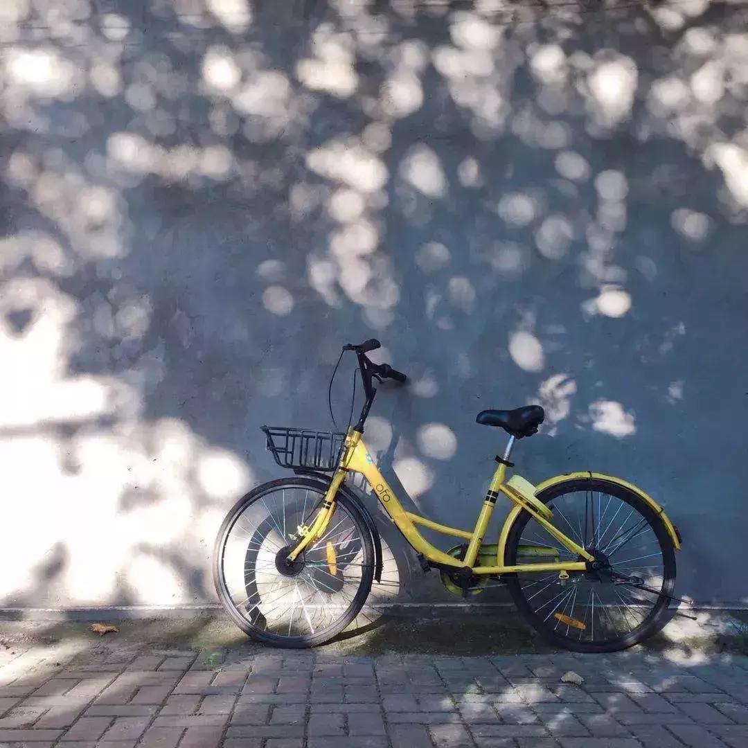 手机拍出好看的影集,手机摄影作品推荐