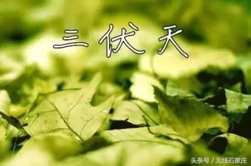 入伏的十大养生常识,出伏后养生谨记这三点