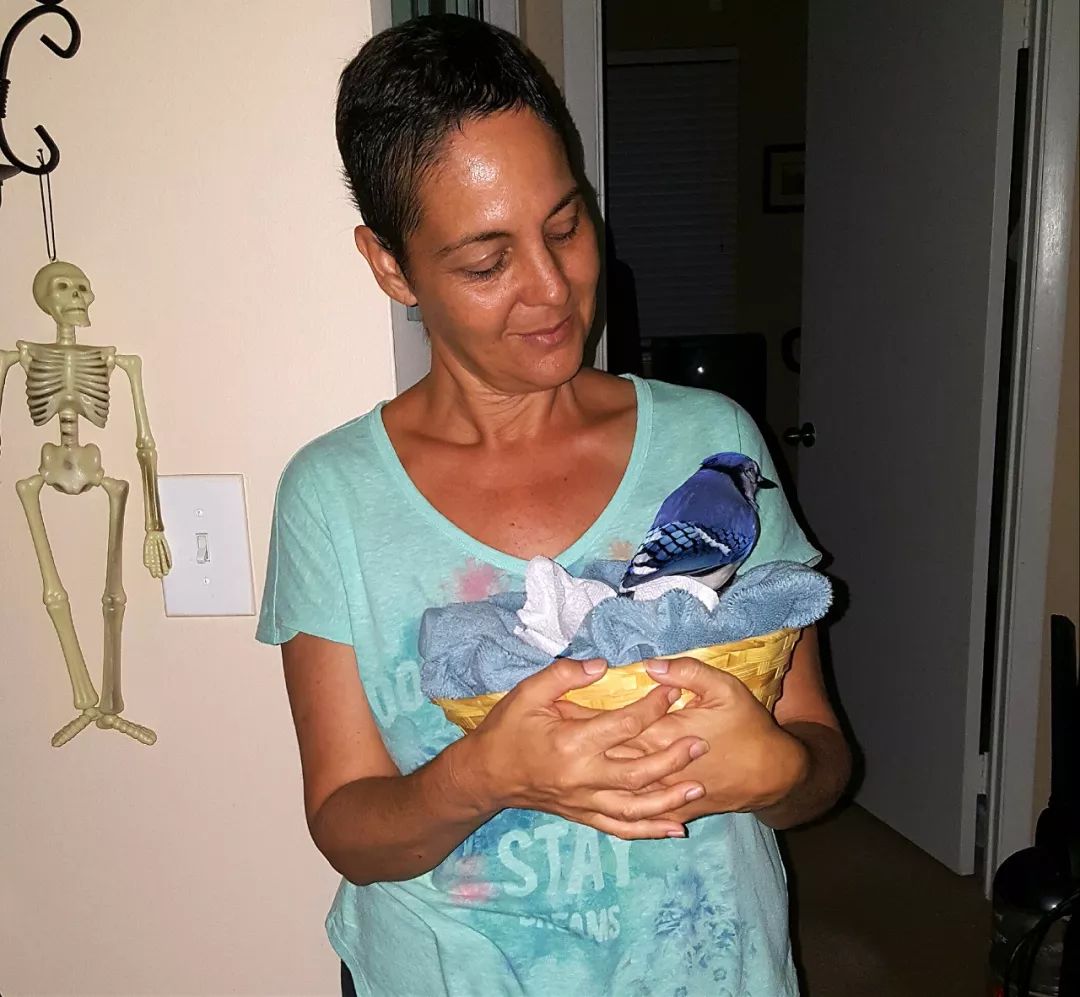 万物皆有灵性一个女孩救了只小鸟,万物皆有灵救小鸟