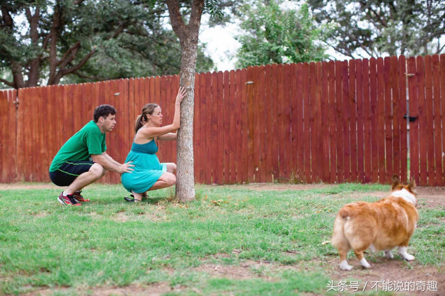 可能你不会知道你家里的这些“家人”是如此的深爱着自己