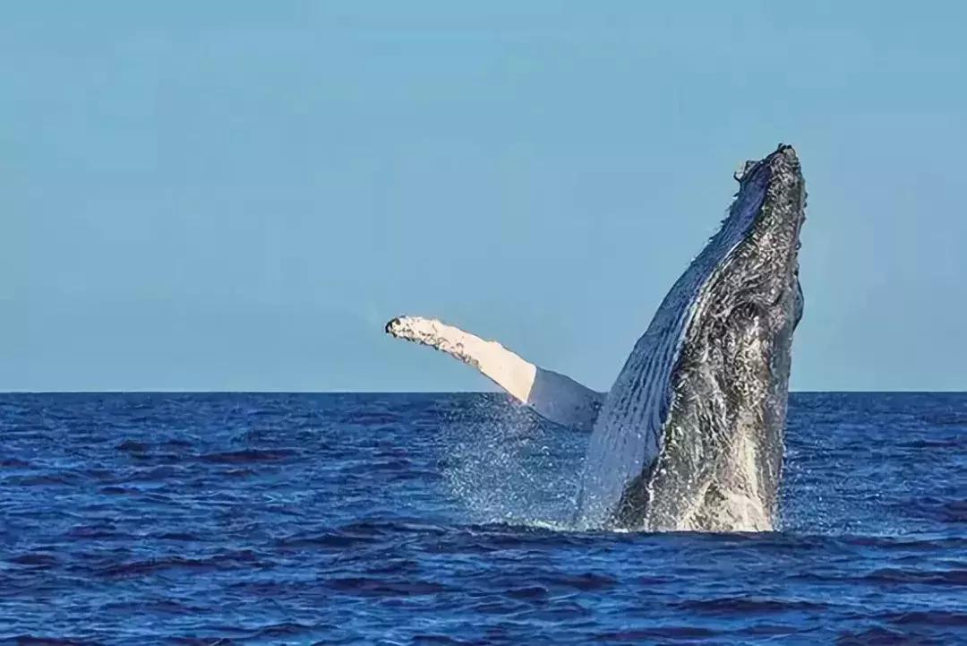 2023年全球免签一览表,最新落地签免签国家