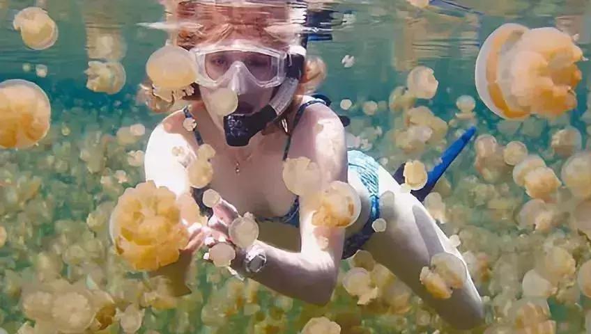 2023年全球免签一览表,最新落地签免签国家