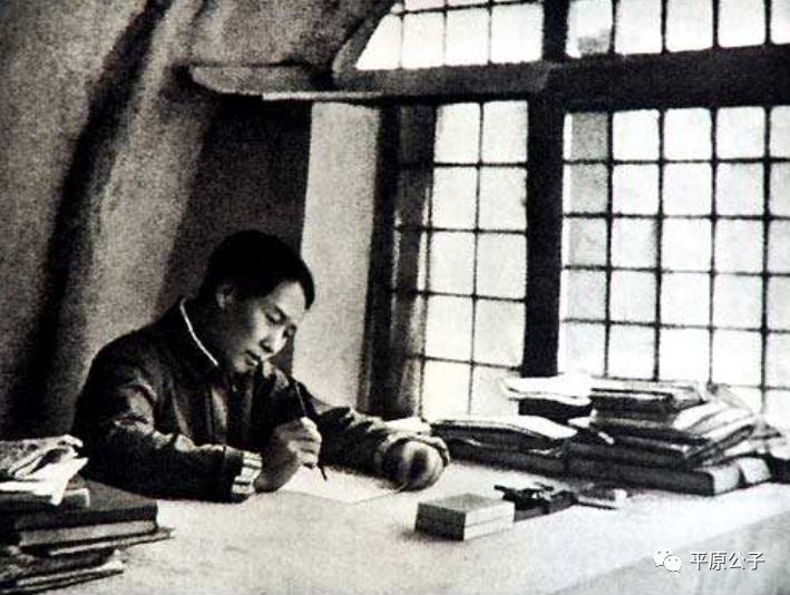 每个人体内都有一个动物灵魂,每一个灵魂里都藏着佛性