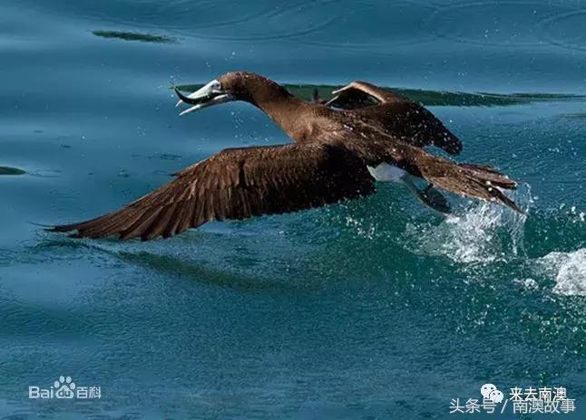 这座小岛究竟隐藏了多少秘密,一座鲜为人知的隐藏小岛