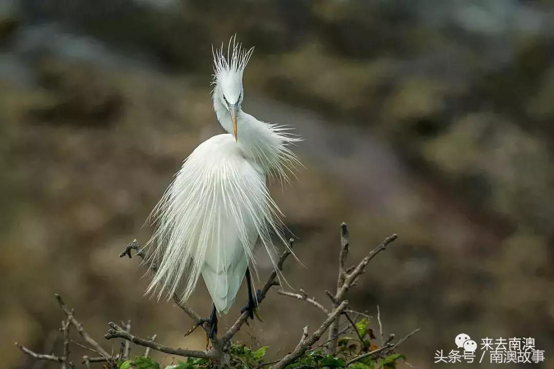 这座小岛究竟隐藏了多少秘密,一座鲜为人知的隐藏小岛