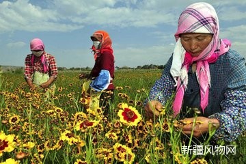 神奇维药年销售破亿，没想到它也是名贵维药