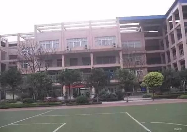 重庆渝中区求精中学对口小学,重庆实验外国语学校对口小学