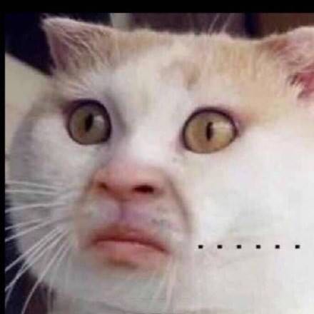 绝地求生四大稀有套装,绝地求生装备大全和价格