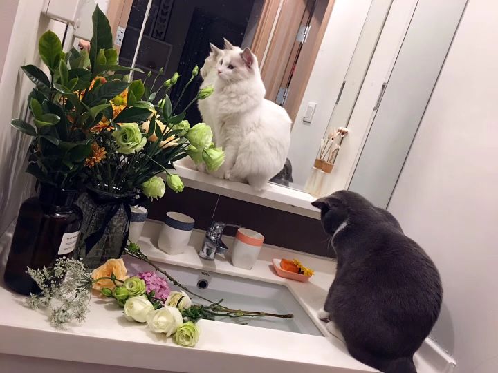 全屋实木家具布置 (家里装修设计实木家具)