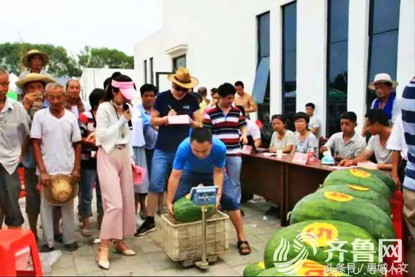 禹城网红西瓜节,辛店沙河西瓜节
