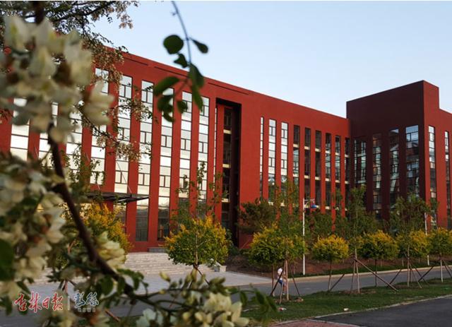 高职学院就业率排名2020,高职院校毕业生的就业率怎么样