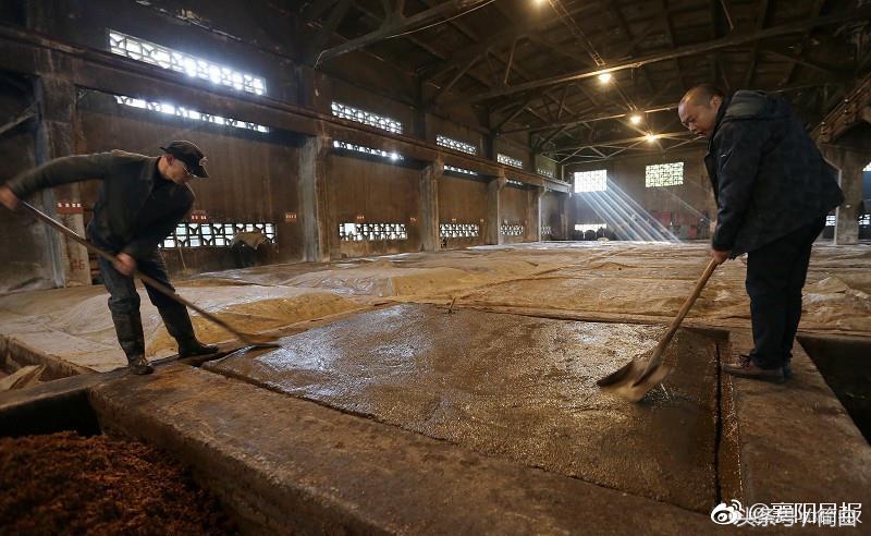 古隆中窖龄12年浓香型白酒多少钱,世界杯新出的酒