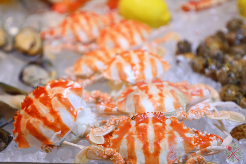 在香港带孩子逛超市 (怎么样带着孩子去香港扫货)