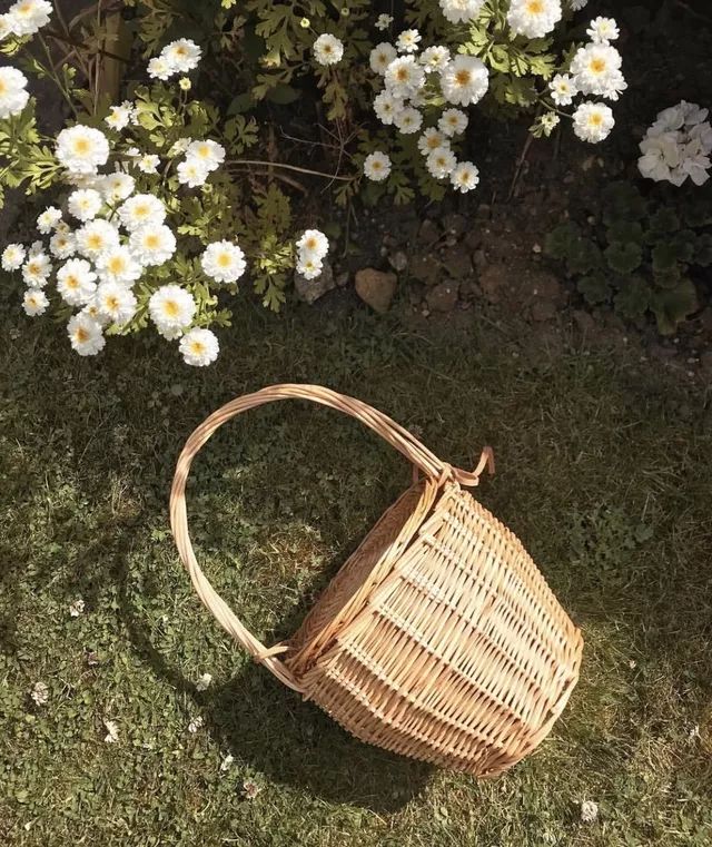 翻箱收纳,我的收纳箱旅游日记