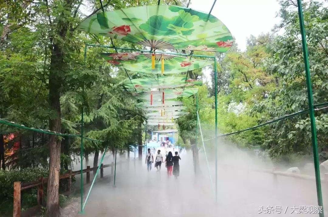 世界杯足球宝贝巡游,足球宝贝秀现场