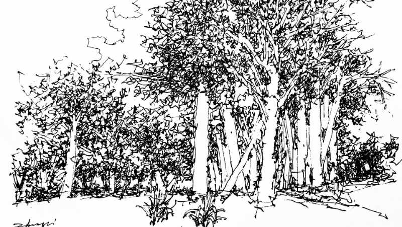 幸福原创画吧画友（7月17日）习作分享