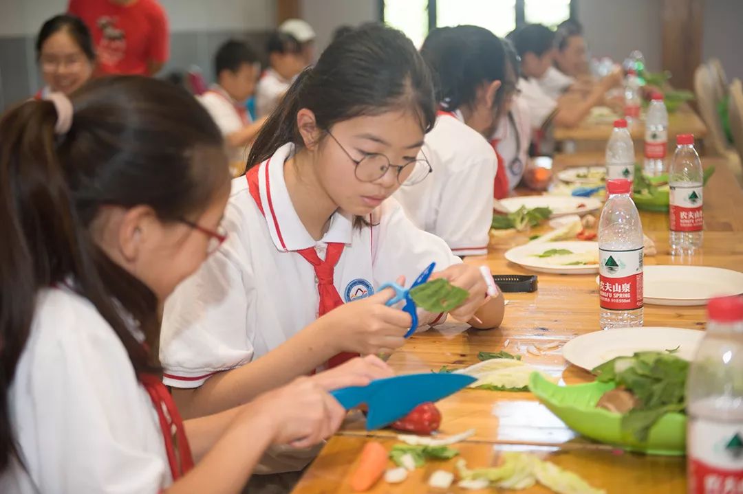金山比较好的夏令营报名,金山区夏令营方案