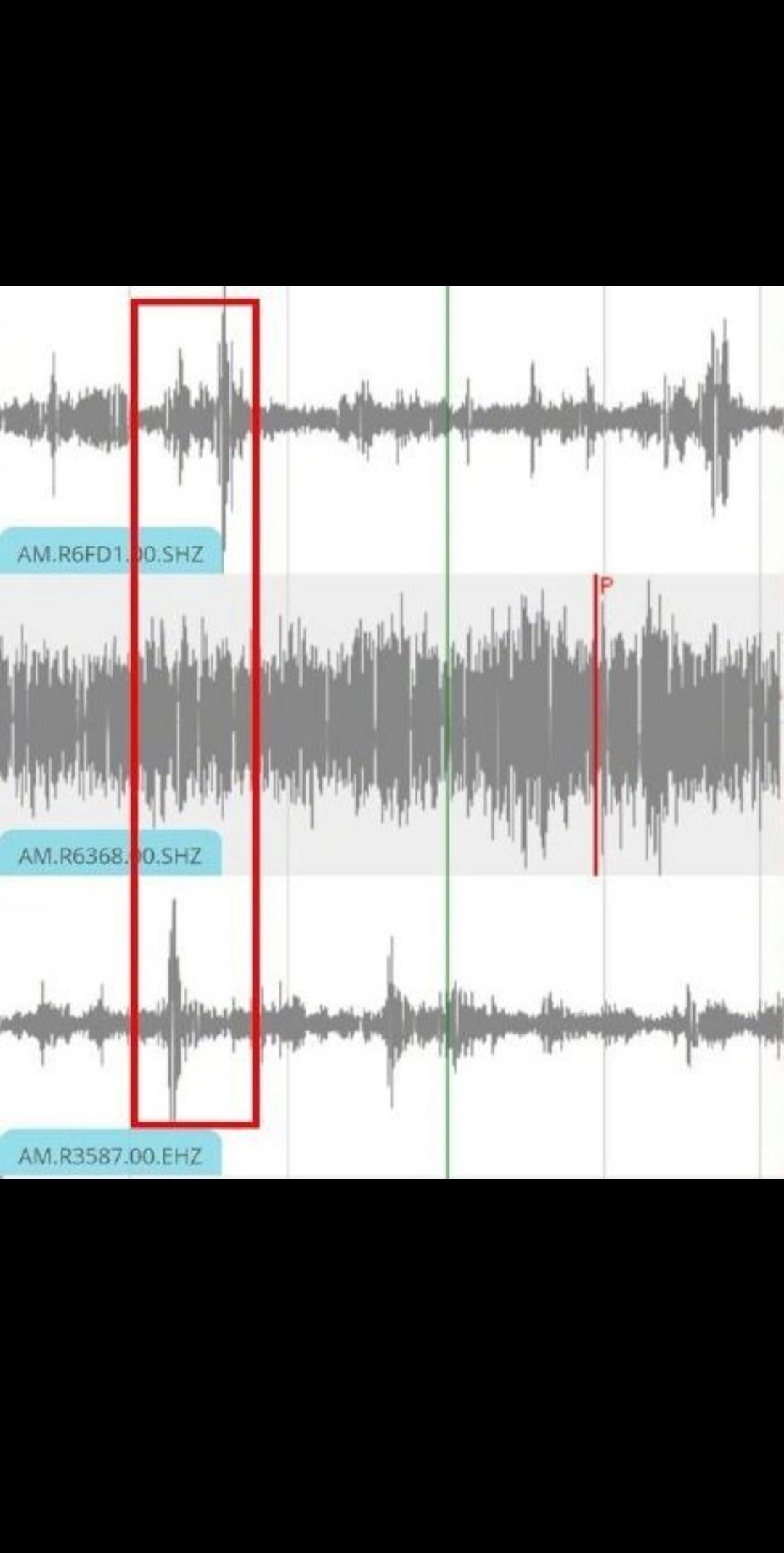 世界杯疯狂球迷,哪一届世界杯球迷最疯狂