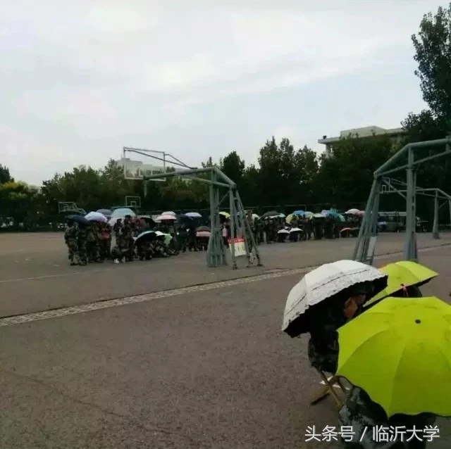 临沂大学排名前十的专业,临沂10所大学排名