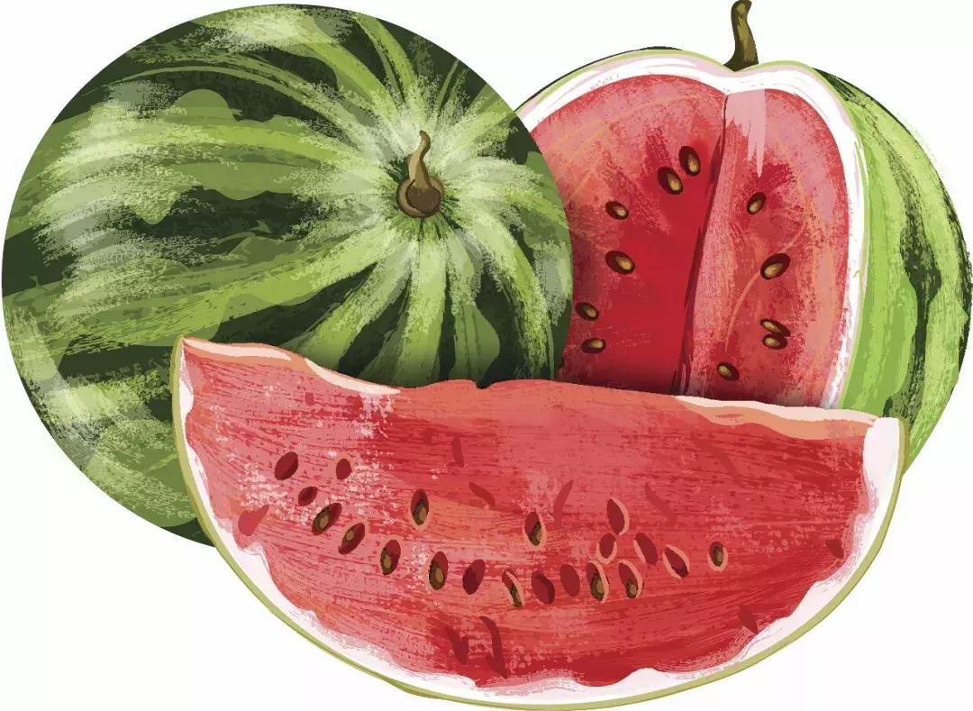 三伏天是几伏的第几天,什么时候入伏三伏天从哪天开始算