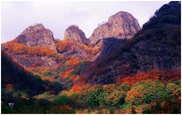 百首诗赞拉法山,百首诗作