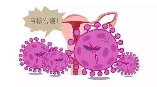 hpv男女感染比例,hpv男女感染人数