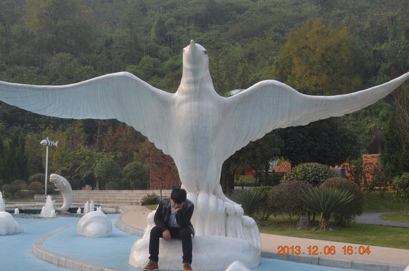 如何拍摄教程视频,手机拍摄照片技巧与拍摄方法