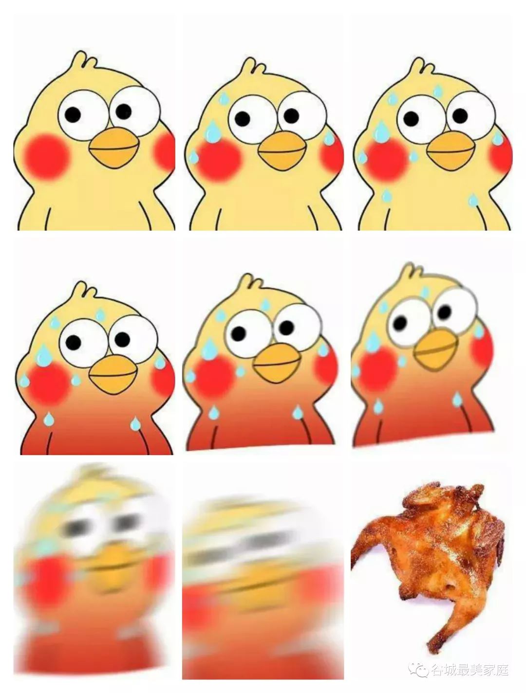 三伏天指南请查收,明日入伏请收好这份三伏天攻略