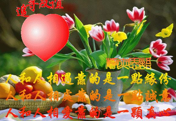 今天7月19，太美了！绝美送给群里好友！看完心情大好~