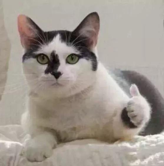 天津10个乡镇入选中央重点名单！这些乡镇重大利好，你入围了没？