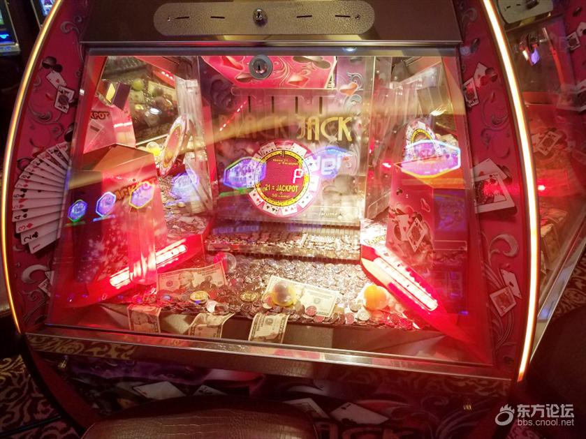 海洋量子号游轮旅游攻略,坐海洋量子号游轮旅游攻略