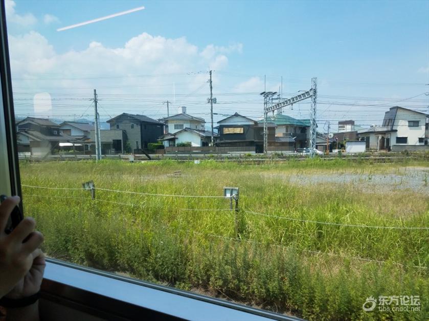 坐奢华游轮什么感受？房间就像漂在海上量子号游记！