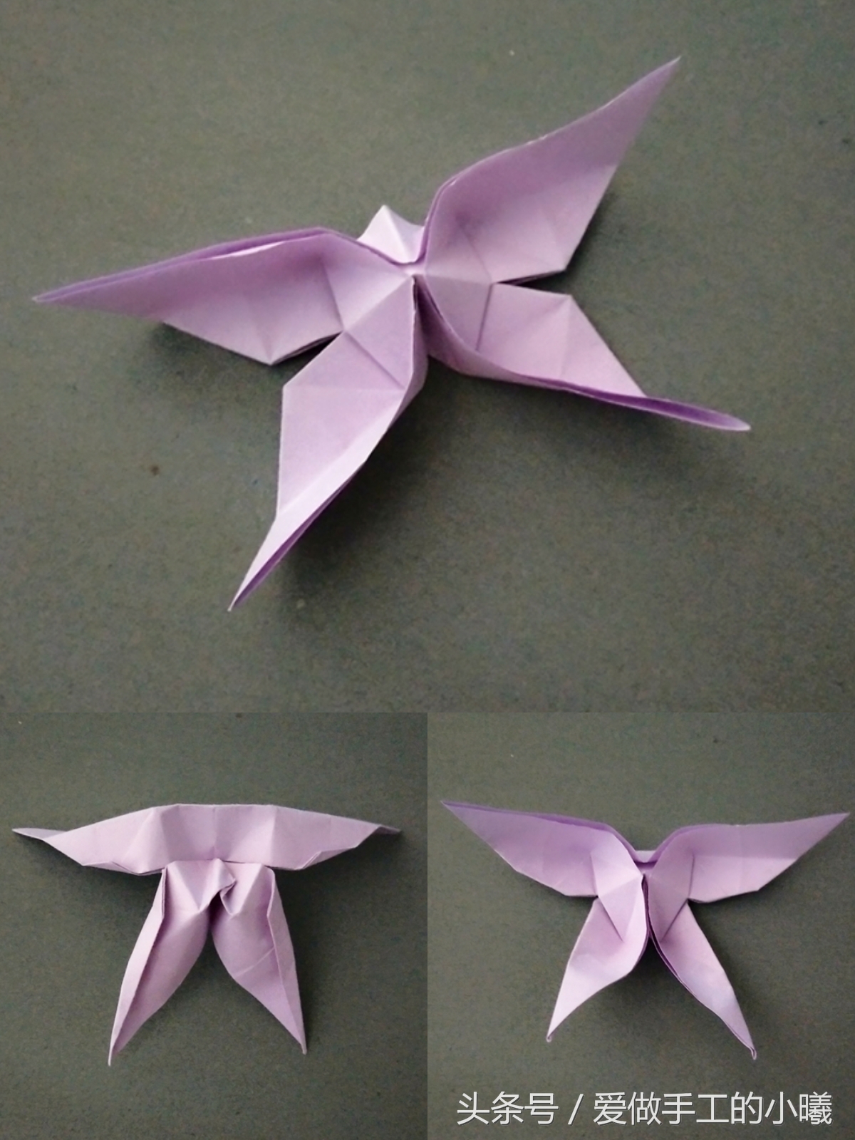 蝴蝶折纸教程看过来,所有蝴蝶折纸教程
