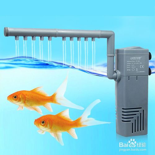鱼缸过滤系统怎样才不会有水流声,80厘米鱼缸一般用什么过滤系统