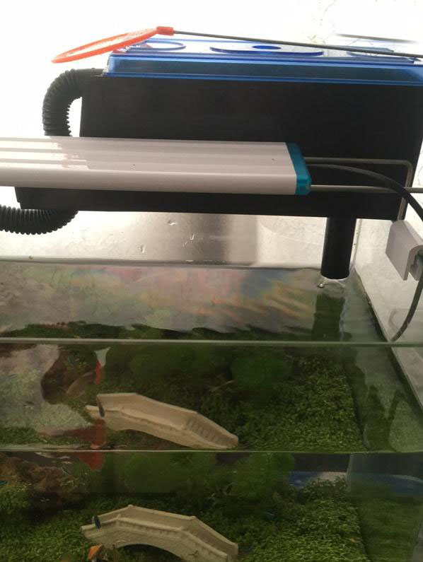 鱼缸过滤系统怎样才不会有水流声,80厘米鱼缸一般用什么过滤系统