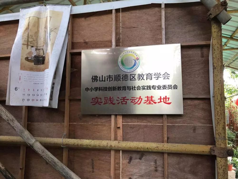 广东佛山鸟叔的视频,顺德鸟叔全景图