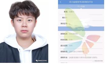 成都市新格林艺术高级中学官网,新格林艺术学校排名