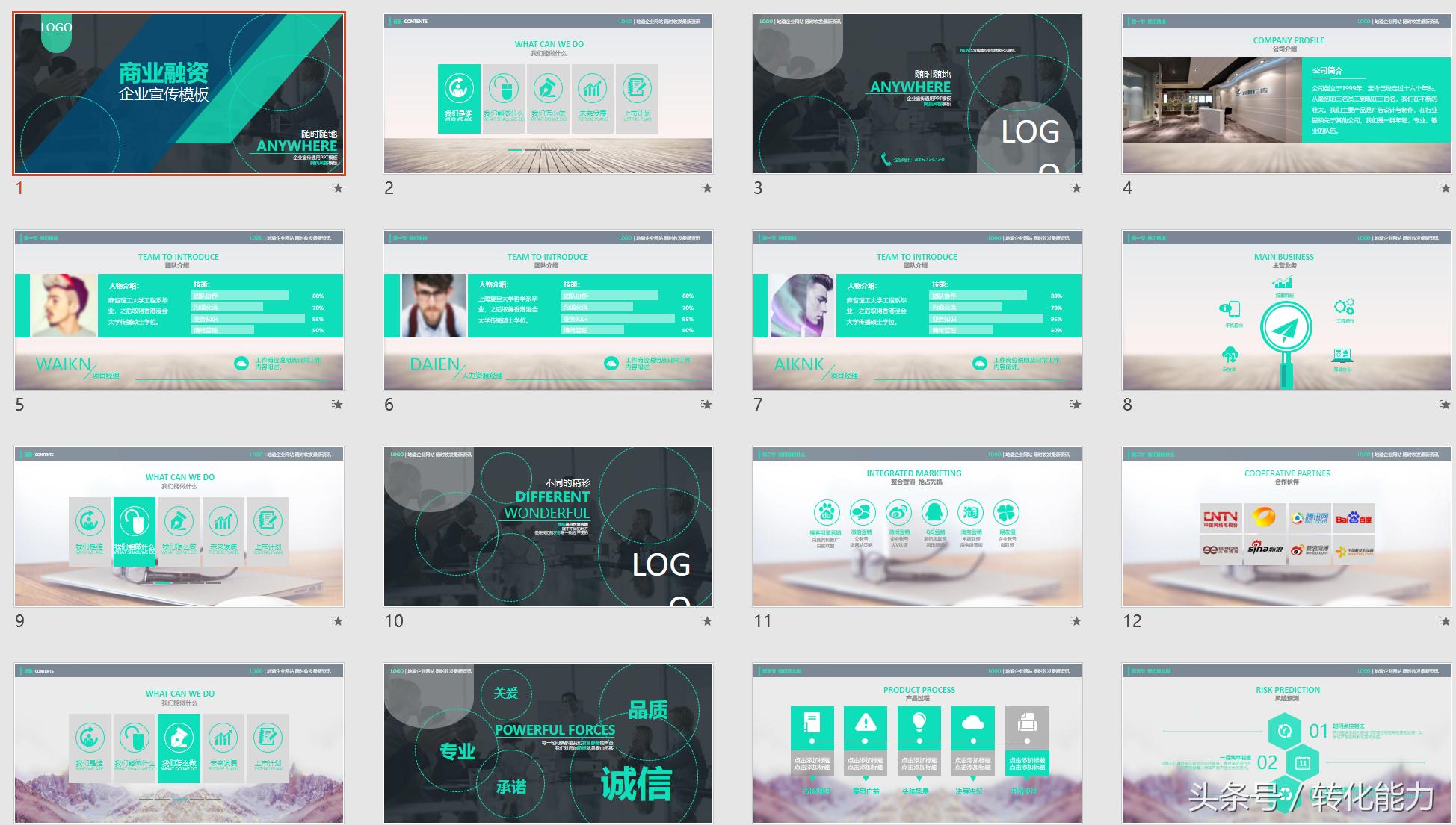 成功融资项目计划书案例,成功投资人的挣钱手册