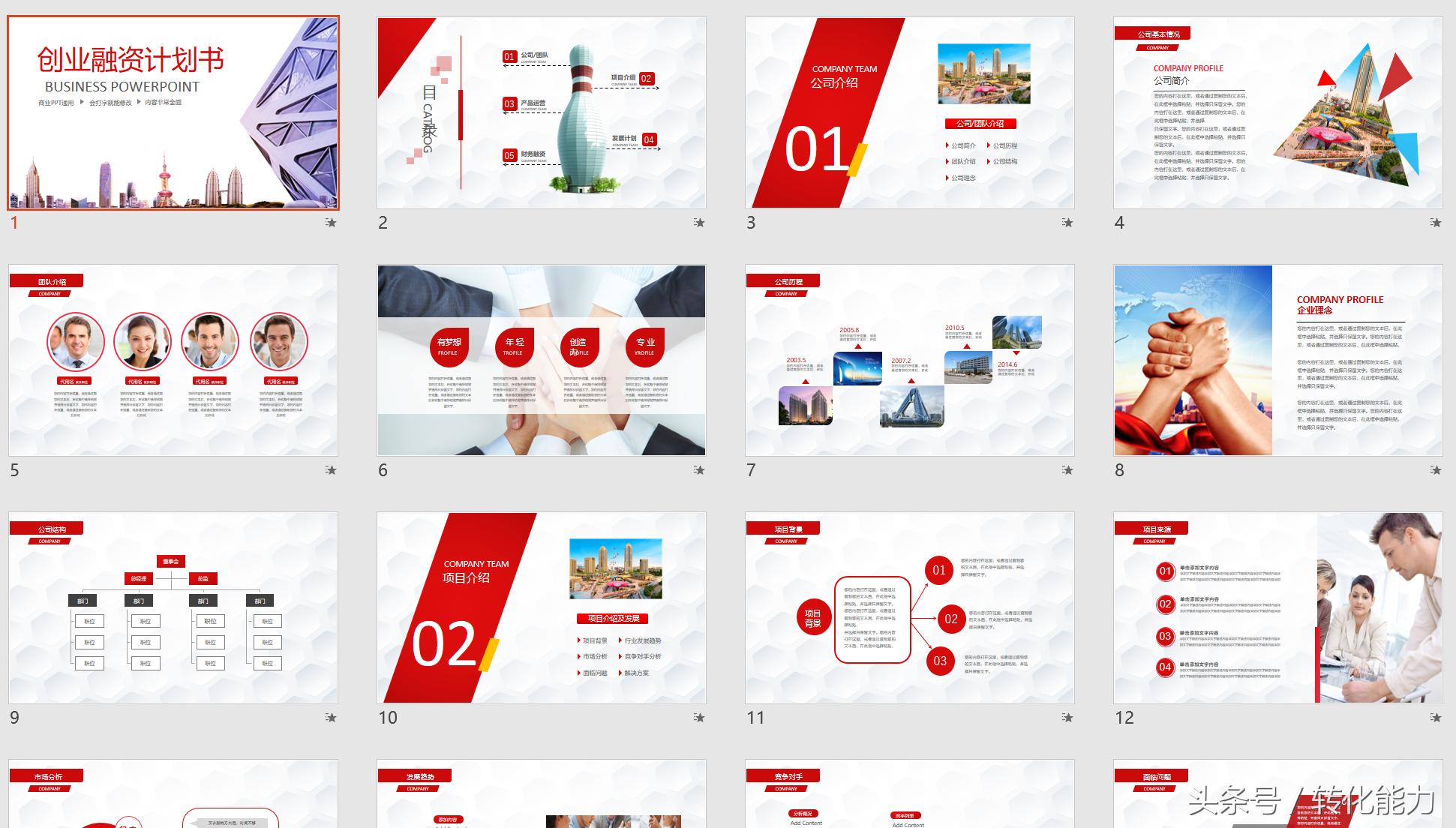 成功融资项目计划书案例,成功投资人的挣钱手册