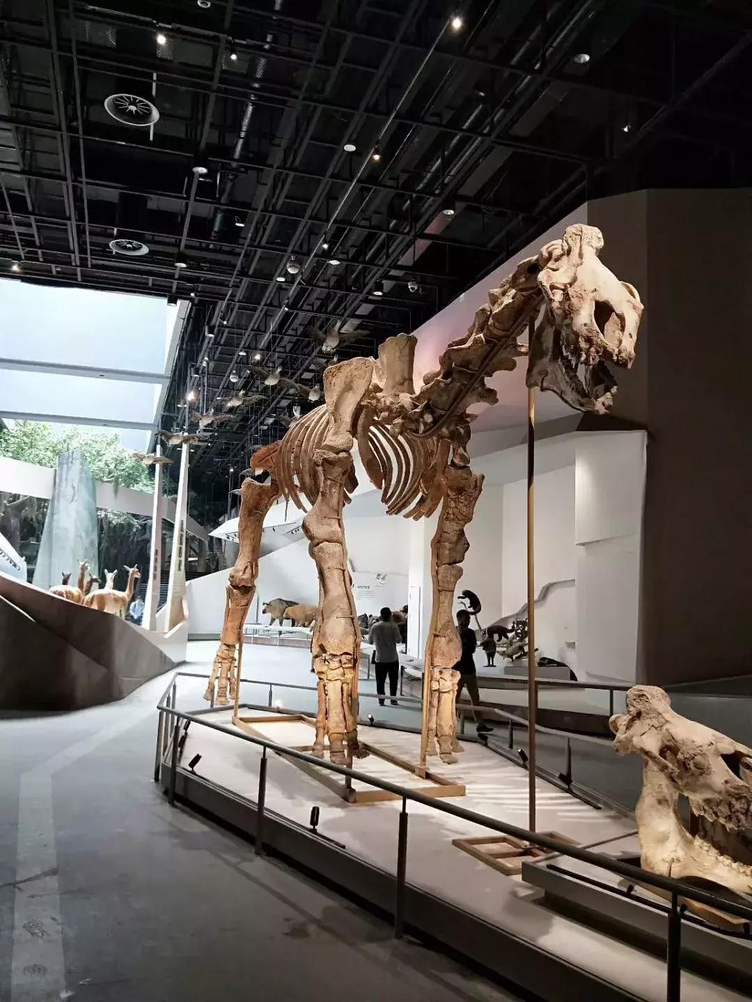 机票什么时候可以免费退改签,民航局最新通知折扣机票可以退吗