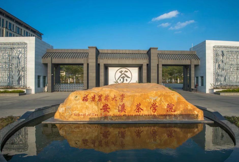 在泉州读大学,要不要去泉州念大专