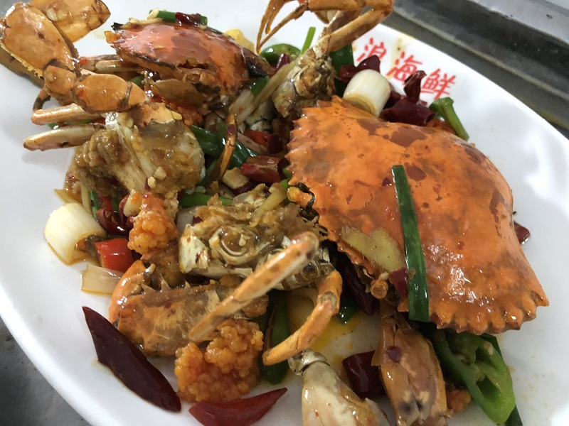 我和大海有个约会三亚看海之旅,我们与三亚的浪漫之旅