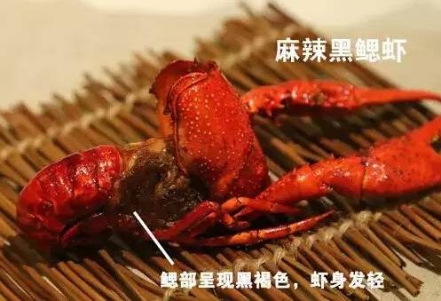 小龙虾夜宵美食最近最火爆的,小龙虾永恒之巅