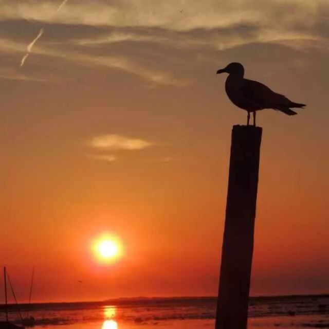 景德镇瓷器直供价格,瓷器直供价值