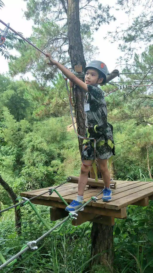 为什么让孩子参加冬令营,为什么一定要让孩子参加冬令营