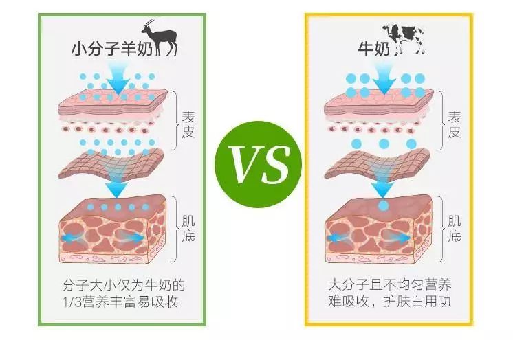 欧洲面膜十大排名,全球排名前十的面膜