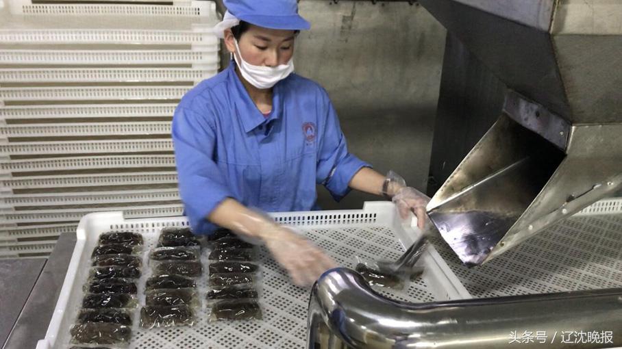 辽宁大连底播海参年产量,大连海参年产量